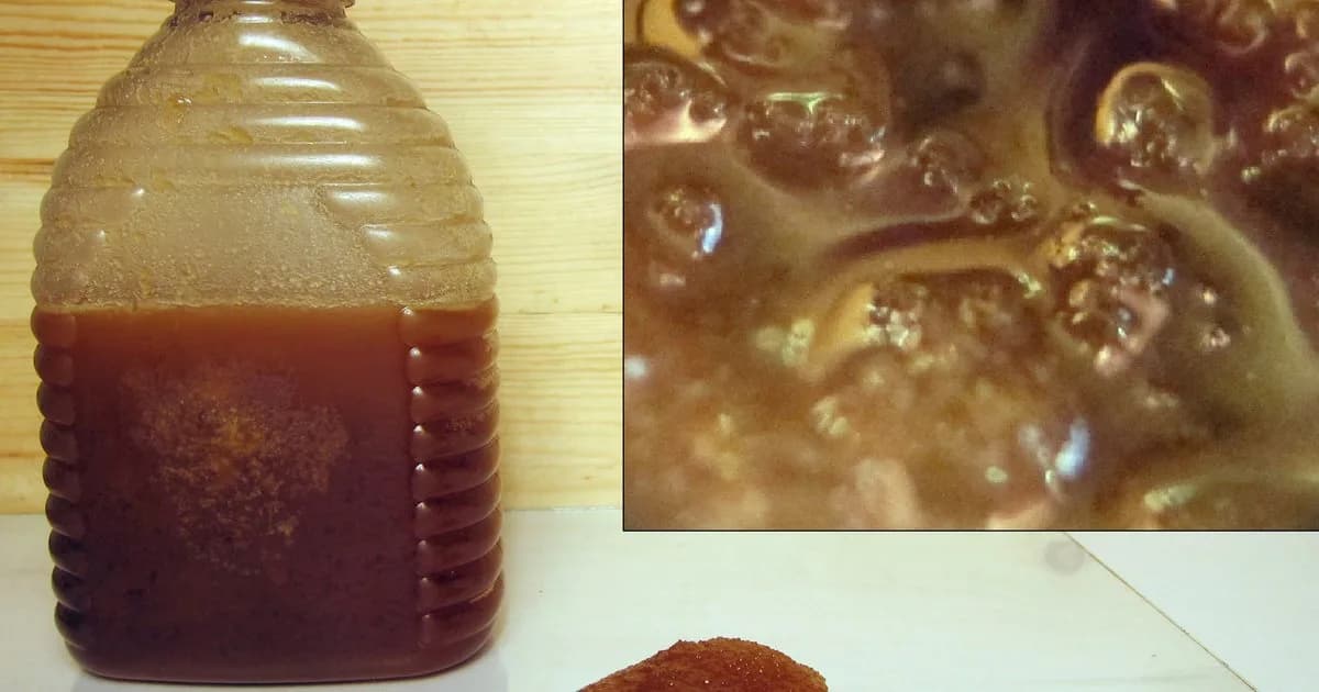 Bouteille de miel trouble mi-liquide mi-cristallisé, avec un gros plan de la texture visqueuse